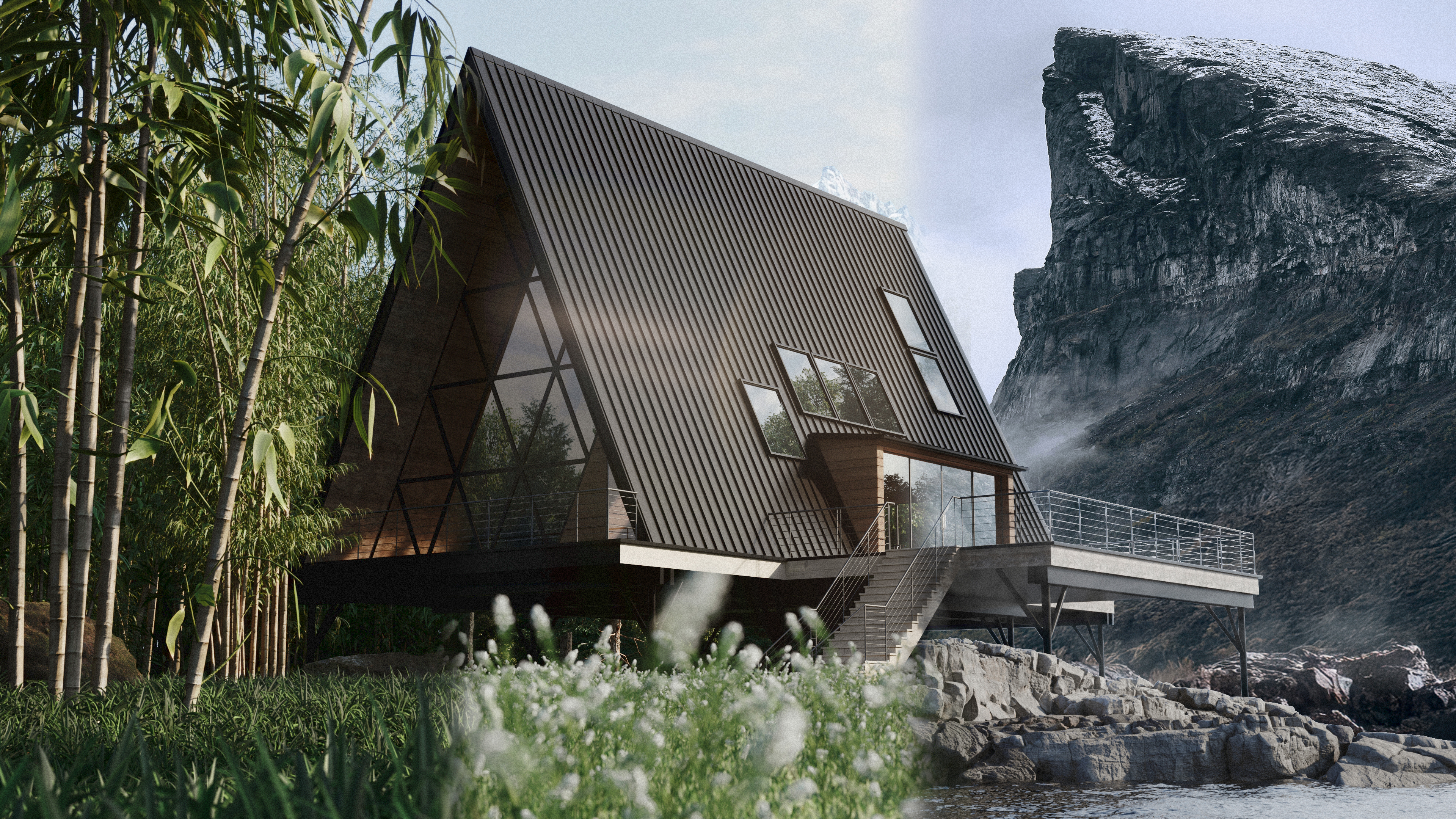 Forest House view 2
