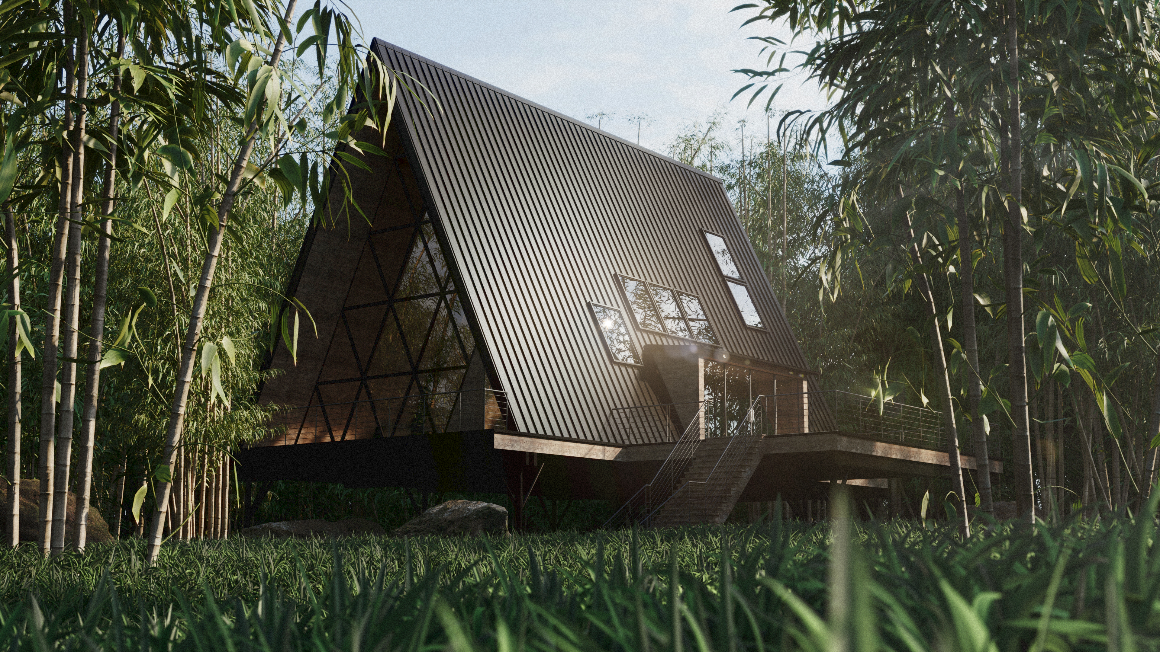 Forest House view 3